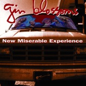 Gin Blossoms - Allison Road