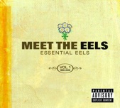EELS - MR. E's BEAUTIFUL BLUES