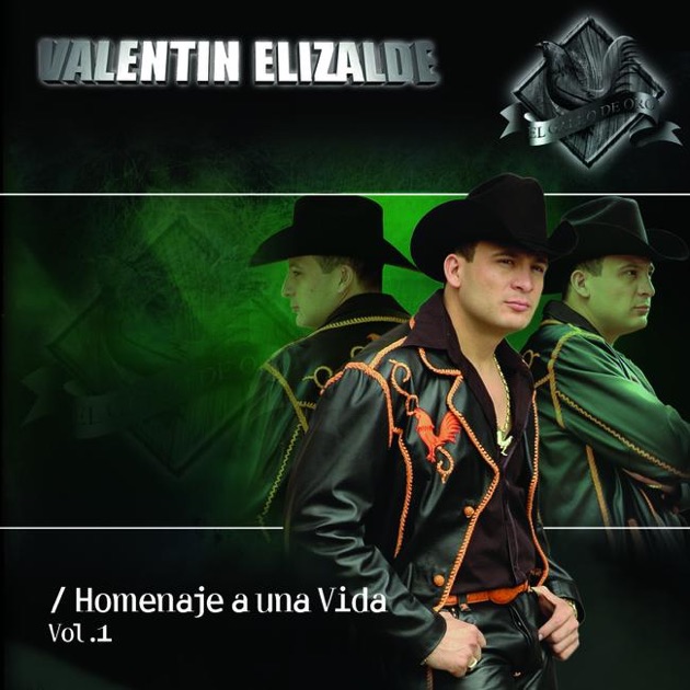 Resultado de imagen para valentin elizalde Homenaje A Una Vida Vol 1