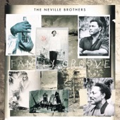 The Neville Brothers - Fly Like An Eagle