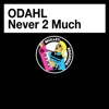 Never 2 Much - Single