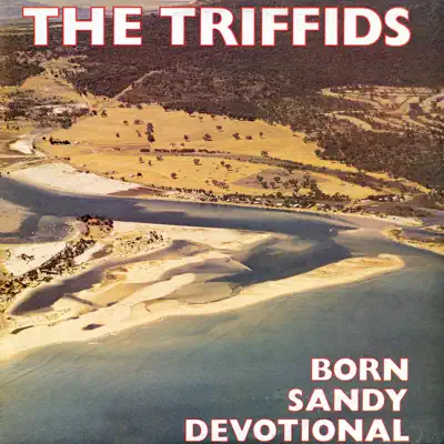 Born Sandy Devotional - The Triffids