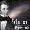 Schubert: Essentials