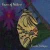 Faces Of Nature album lyrics, reviews, download