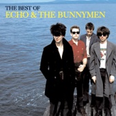 The Best of Echo & the Bunnymen artwork