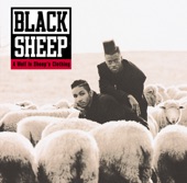 The Choice Is Yours - Black Sheep