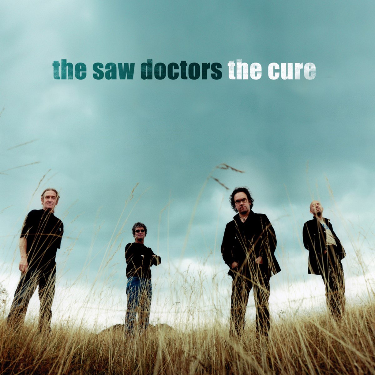 Saw doctors