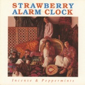 Strawberry Alarm Clock - Rainy Day Mushroom Pillow