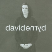 David Byrne - Lilies of the Valley