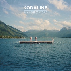 IN A PERFECT WORLD cover art