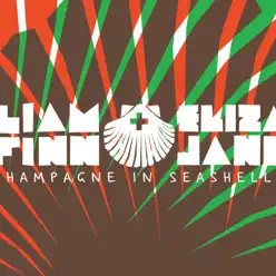 Champagne In Seashells - EP - Liam Finn