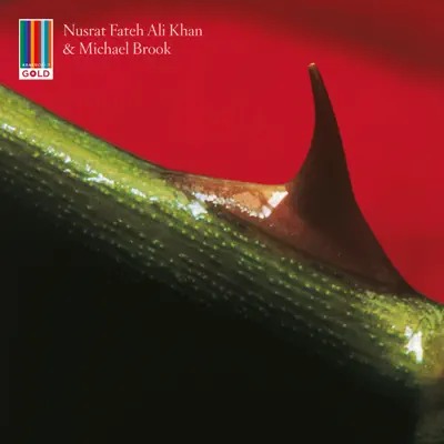 Night Song - Nusrat Fateh Ali Khan