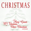 Christmas With Amy Grant and Friends, 2012