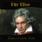 Für Elise artwork