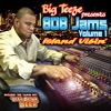 Big Teeze Presents 808 Jams, Vol. 1: Island Vibin', 2008