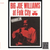 Big Joe Williams At Folk City (Live) [Remastered]