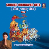 Srimad Bhagavad Gita artwork