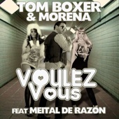Voulez-Vous (Radio Edit) [feat. Meital de Razon] artwork