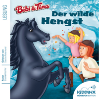 Stephan Gürtler - Der wilde Hengst: Bibi und Tina - Hörbuch artwork