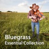 Bluegrass Essential Collection