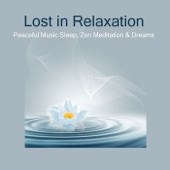 Lost in Relaxation: Peaceful Sleeping Non Stop Music, Zen Meditation & Relax - Liquid Relaxation