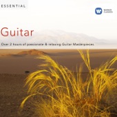 Essential Guitar artwork