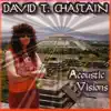 Acoustic Visions album lyrics, reviews, download