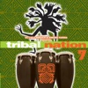 Tribal Nation 7