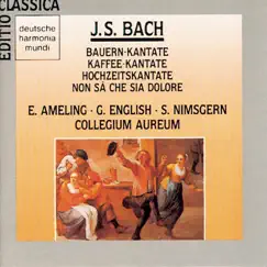Bach: Bauern-/Kaffeekantate by Elly Ameling & Collegium Aureum album reviews, ratings, credits