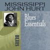 Blues Essentials, 2008