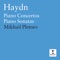 Piano Concerto in F Major, Hob. XVIII:7 (attrib Haydn): I. Moderato artwork