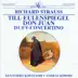 R. Strauss: Till Eulenspiegel, Don Huan, Duet-Concertino album cover