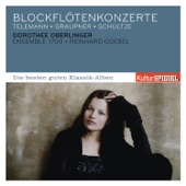 Telemann, Graupner, Schultze: Blockflötenkonzerte artwork