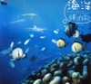海洋嬉游記