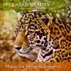 Splendid Beauty: Classical Indian Flute & Violin album lyrics, reviews, download