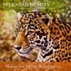 Music for Deep Relaxation - Tranquility: Sumaneesharanjani (feat. V.K. Raman, Mysore V. Srikanth)