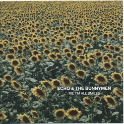 Echo & The Bunnymen - In the Margins