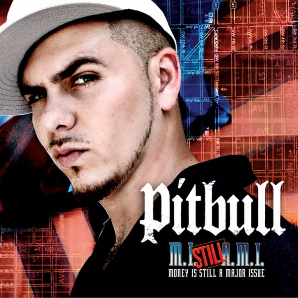 Money Is Still a Major Issue - Pitbull