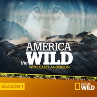 Télécharger America the Wild Episode 6