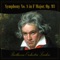 Symphony No. 8 in F Major, Op. 93: III. Tempo di menuetto artwork