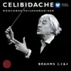 Brahms: Nos. Symphonies 2-4 album lyrics, reviews, download