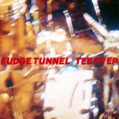 Fudge Tunnel - Shit for Brains