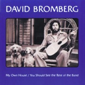 David Bromberg - Sharon