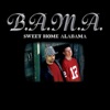 Sweet Home Alabama - Single
