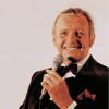 Toon Hermans