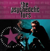 The Psychedelic Furs - Dumb Waiters (Live)