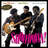 Albert Collins, Robert Cray, Johnny Copeland - Albert's Alley