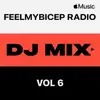 FeelMyBicep Radio, Vol. 6 (DJ Mix) album lyrics, reviews, download