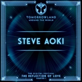 Steve Aoki at Tomorrowland's Digital Festival, July 2020 (DJ Mix) artwork
