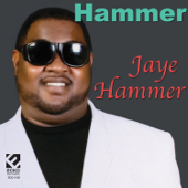 Party Mood - Jaye Hammer song art